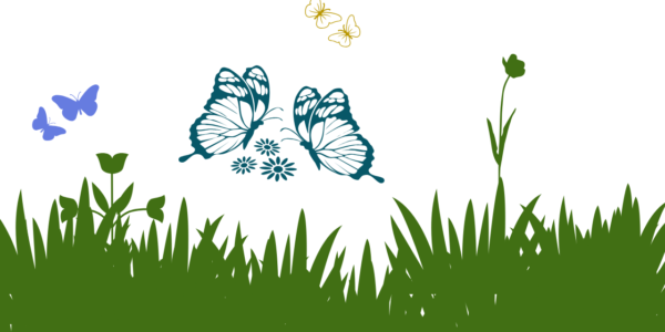 Grass is greener syndrome GIGS