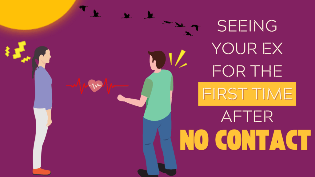First Time Re Seeing Your Ex For The First Time After No Contact - Magnet of Success