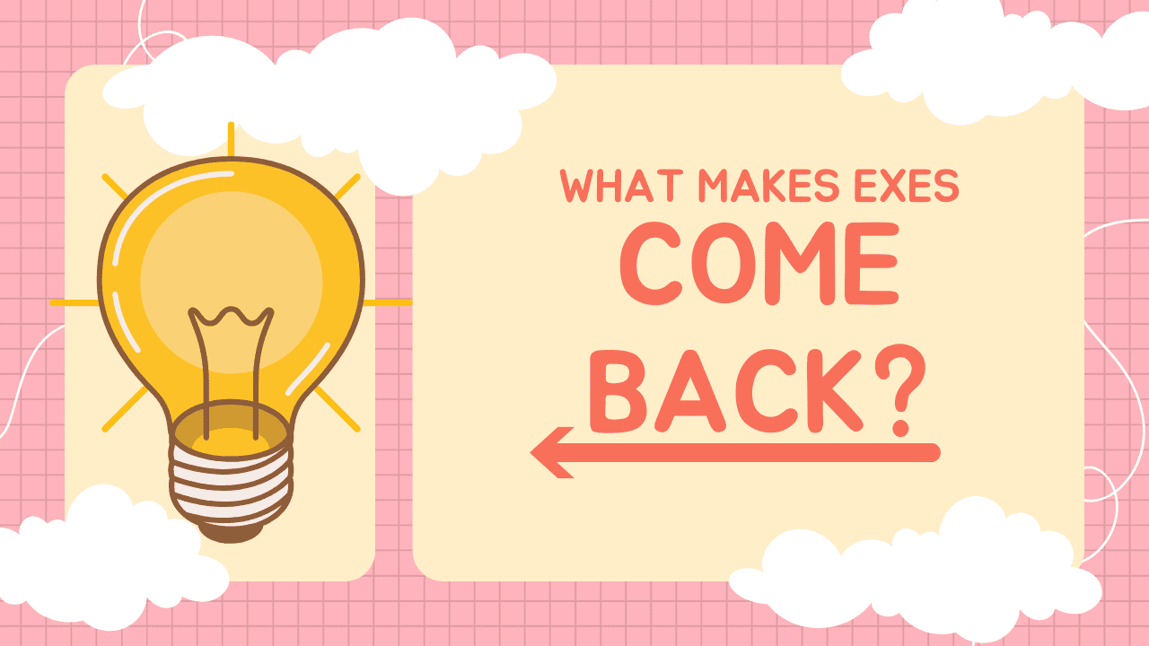 What Makes Exes Come Back Magnet Of Success 